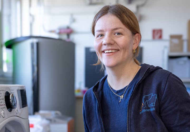 Job als Reinigungskraft bei elefantenstark