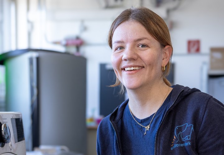 Job als Reinigungskraft bei elefantenstark
